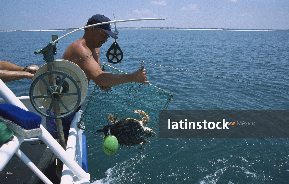 Los investigadores comprobar la eficiencia del dispositivo de exclusión de tortugas, Florida