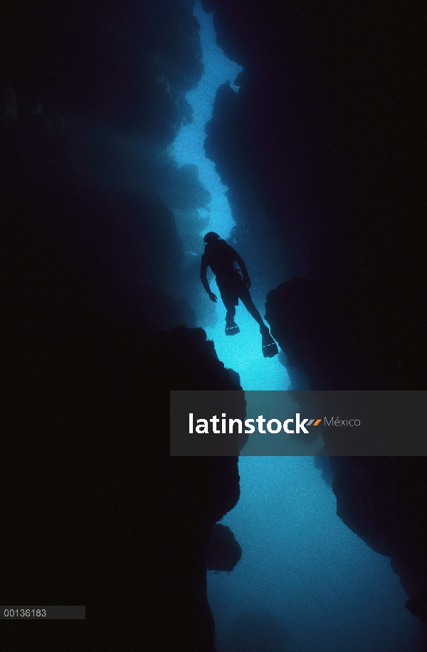 Zambullidor de la natación en el océano cañón, Channel Islands, California