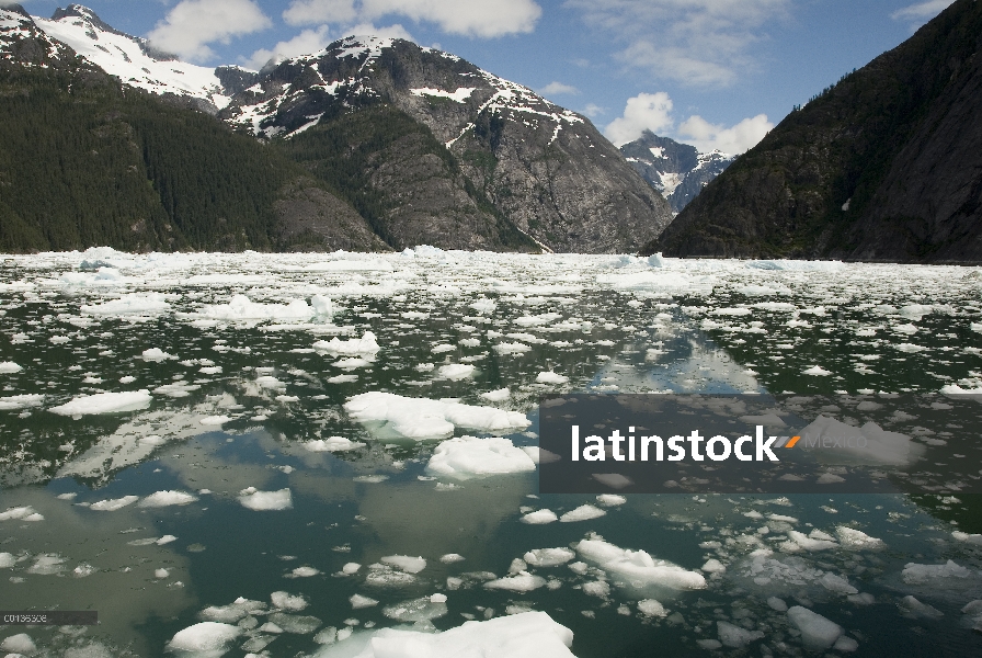 LeConte Glacier retroceso, mostrando evidencia de calentamiento global, LeConte Bay, Alaska