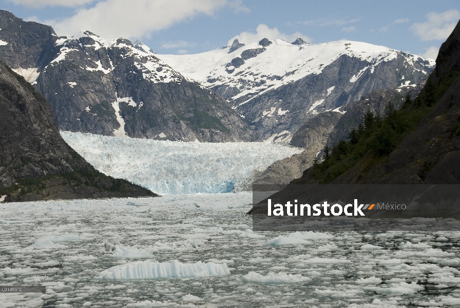 Glaciar de LeConte es retroceso que demuestra evidencia de calentamiento global, LeConte Bay, Alaska