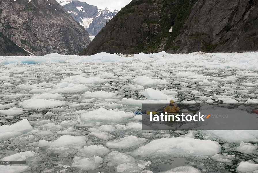 Kayakista paleando en témpanos de hielo del glaciar de LeConte que está retrocediendo y que muestra 