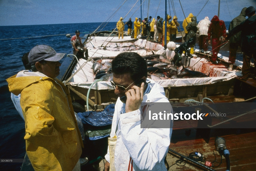 Cosecha de atún rojo Atlántico (Thunnus thynnus) llamado mattanza con el propietario de la pesca de 