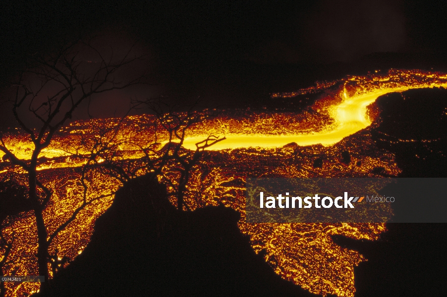 Erupción de febrero de 1995 un rápido río de lava pasa viejo soporte de árboles en cono previamente 