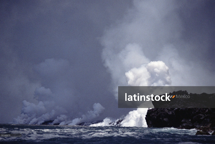 Flujo de lava entrando en el mar crea penachos de vapor gran, cabo Hammond, Isla Fernandina, Islas G