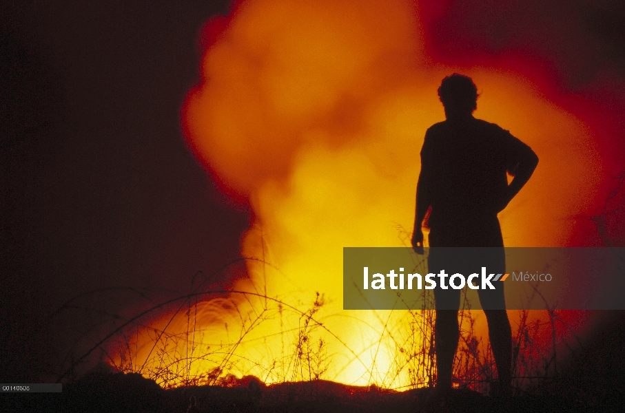 Galápagos nativo Gil De Roy admira pantalla nocturna de lava de la fuente, del cabo Hammond, Isla Fe