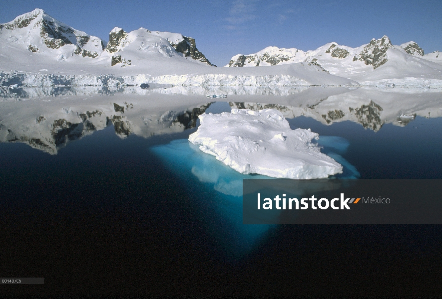 Hielo-montañas que caen directamente en el mar, Paradise Bay, Península Antártica, Antártida