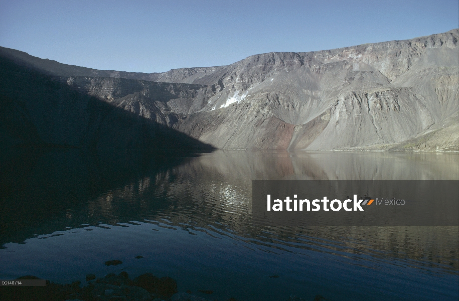 Mejillas blancas Pintail (Anas bahamensis) patos en el lago de mineral en junio de 1975 antes de ser