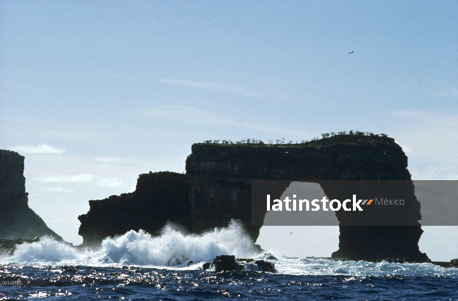 Arco del mar cubierto de aves marinas, Galápagos, Ecuador