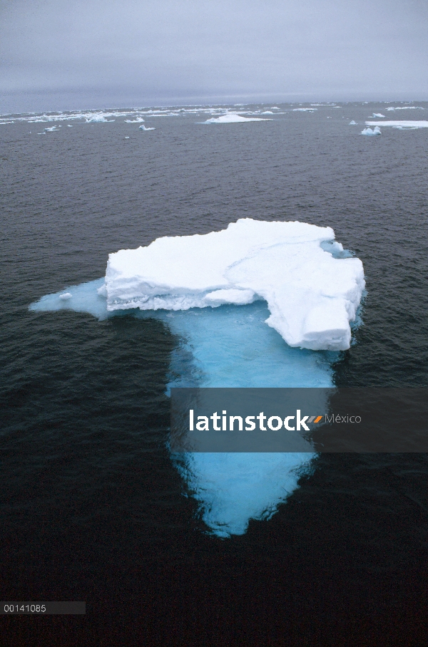 Verano hielo flotando en el mar de Barents, al sur del archipiélago de Svalbard, Noruega