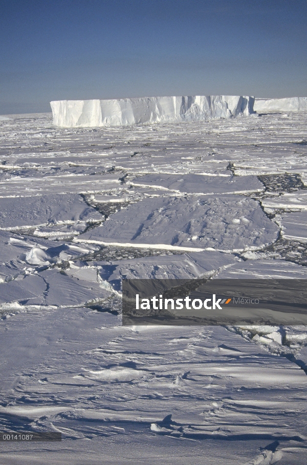 Icebergs tabulares entre hielo rápido rota, Costa del príncipe Olav, Antártida del este