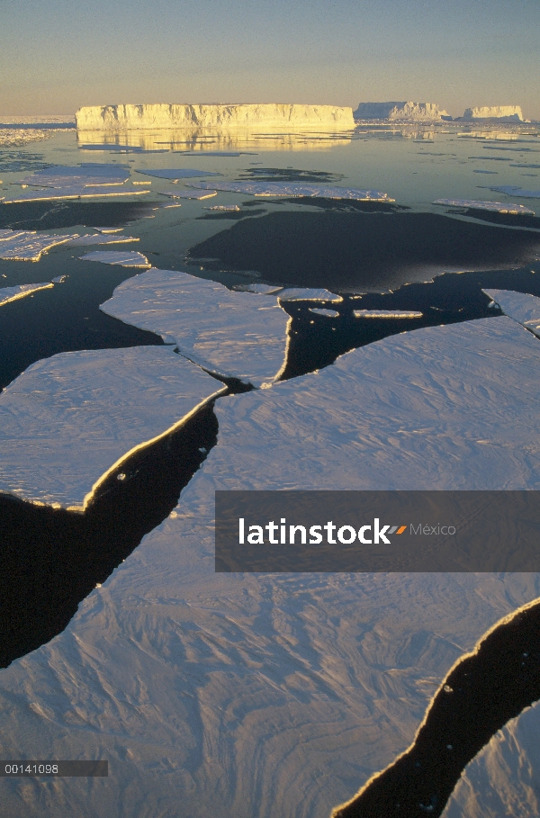 Icebergs tabulares entre hielo rápido en verano, la costa del príncipe Olav, Antártida oriental