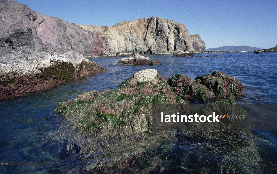 Intrincadas capas sedimentarias, Isla San Esteban, mar de Cortés, Baja California, México