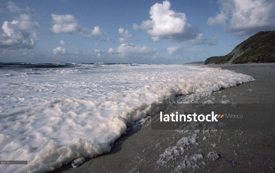 Espuma de mar en la costa de oeste azotado por la tormenta, el rugir de los años cuarenta trabaja so