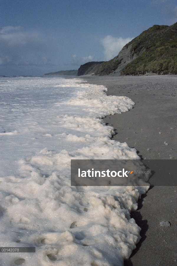 Espuma de mar en la costa de oeste azotado por la tormenta, el rugir de los años cuarenta trabaja so