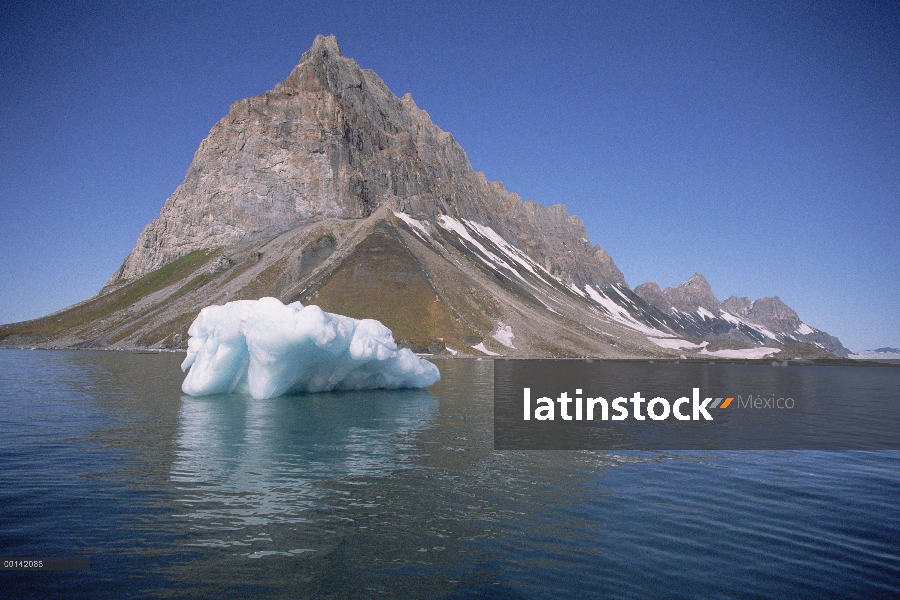 En la isla de Spitsbergen, abundante crecimiento vegetativo es causada por la escorrentía de colonia