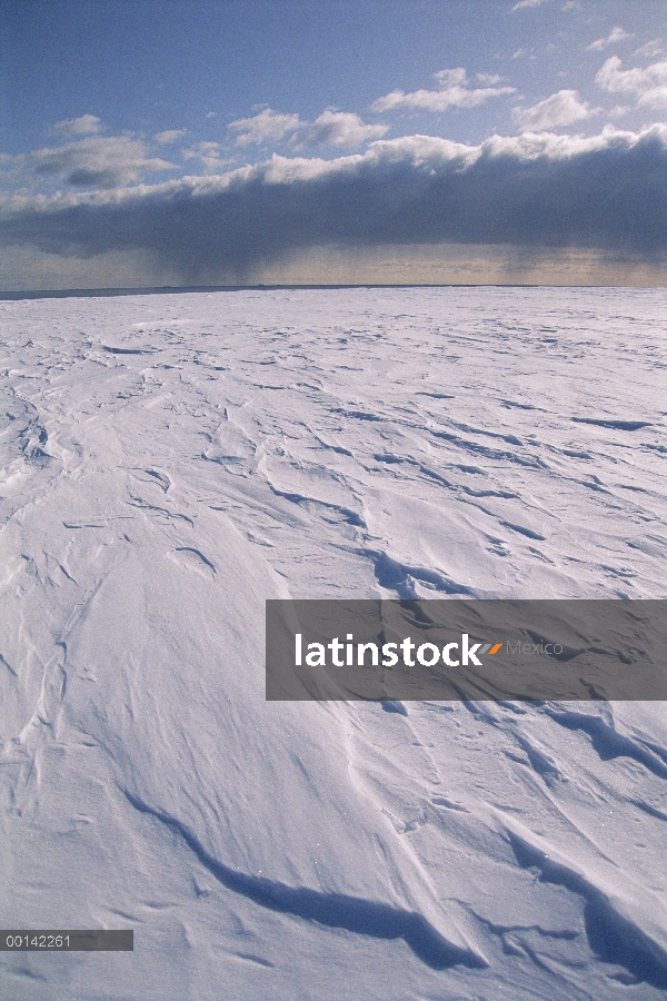 Plataforma de hielo de Ross, que se describe como, una extensión inmensa, sin límites de blanco, por