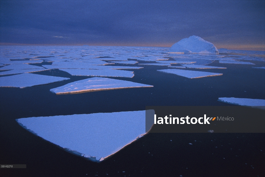 Rompe hielo rápido bajo el sol de medianoche y la inminente tormenta, Edward VIII Bay, Costa de Kemp