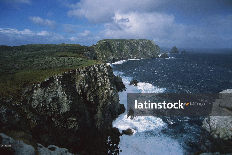 Promontorio de sudoeste y mar adyacente pilas, Islas Snares, Nueva Zelanda