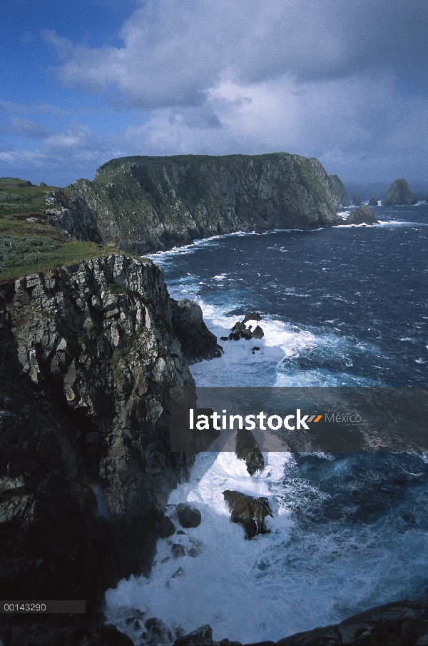 Promontorio de sudoeste y mar adyacente pilas, Islas Snares, Nueva Zelanda