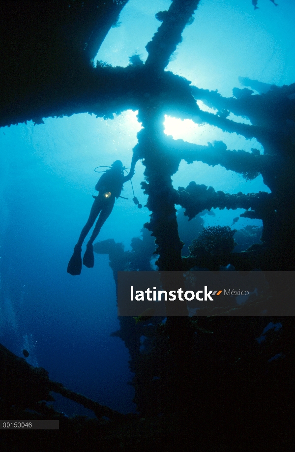 Buzo explorar el naufragio de la libertad, más popular de Bali buceo sitio, Tulamben, Bali, Indonesi