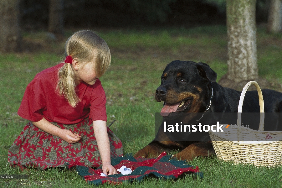 Rottweiler (Canis familiaris) en un picnic con chica joven