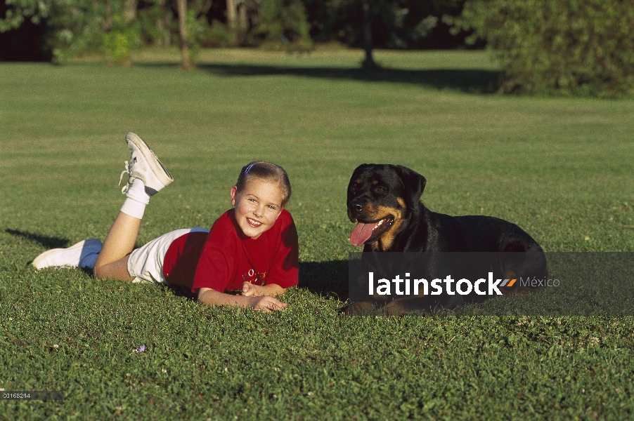 Rottweiler (Canis familiaris) descansando sobre la hierba con una niña