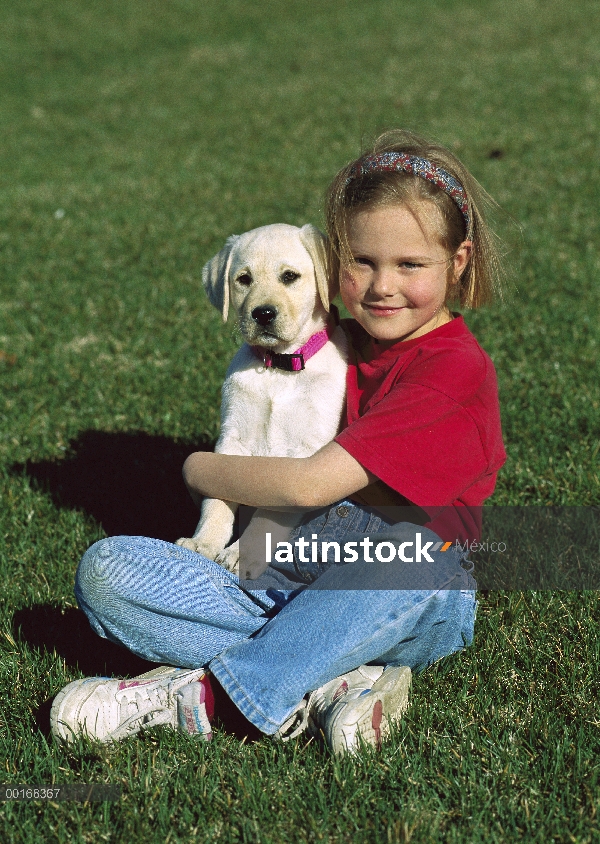 Cachorro de explotación de chica joven de perro perdiguero de Labrador (Canis familiaris) amarillo