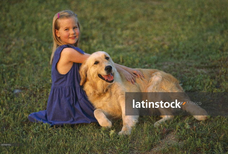 Golden Retriever (Canis familiaris) relajante sobre césped con una niña