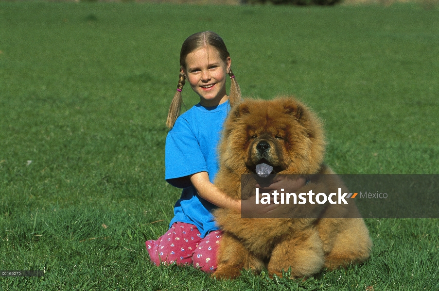 Chow Chow (Canis familiaris) chica joven abrazando a rojo perro