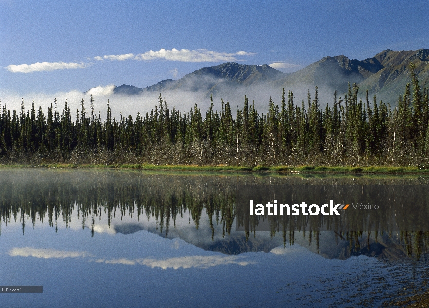 Bosque boreal a lo largo del borde del lago, las montañas de Nutzotin, Alaska