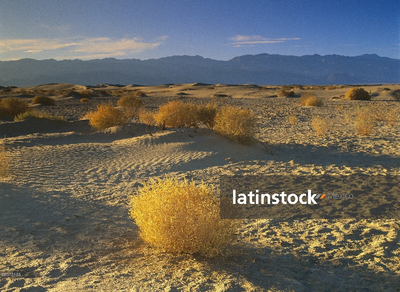 Mesquite Flat las dunas de arena, Parque Nacional Death Valley, California