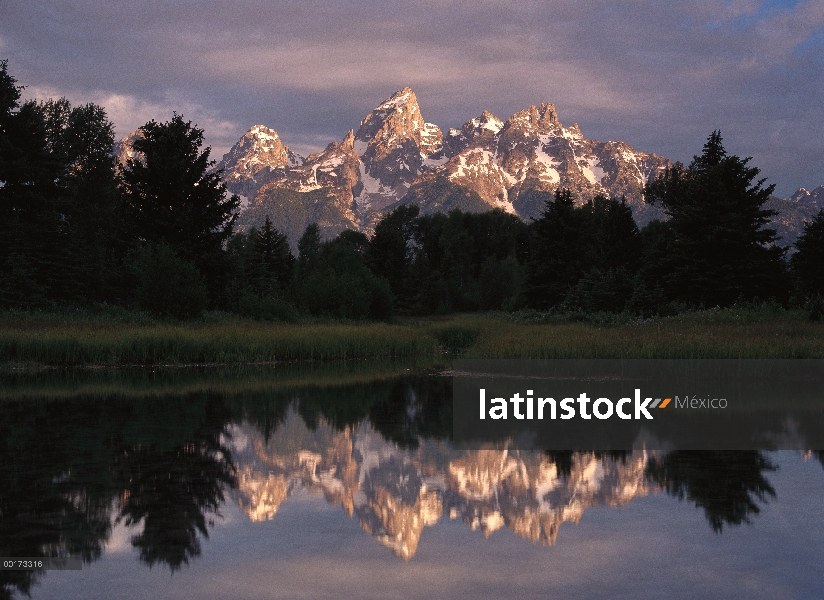 Gama de Grand Teton y cielo nublado en el aterrizaje de Schwabacher, reflejada en el agua, Parque Na