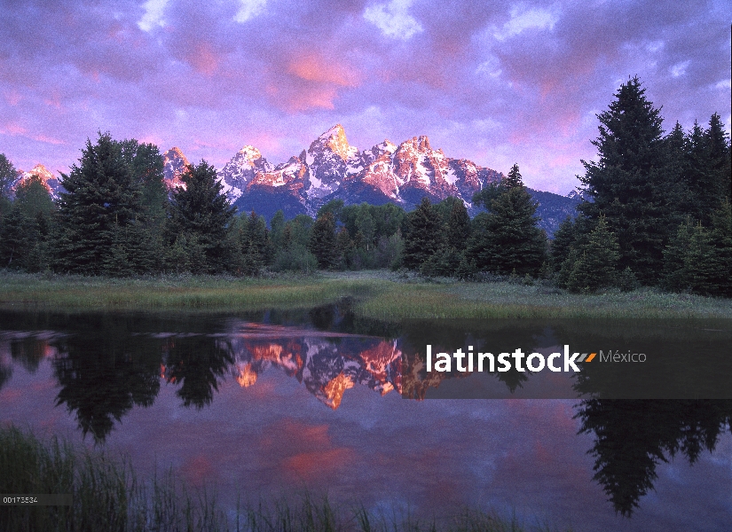 Gama de Teton en sunrise, Schwabacher aterrizaje, Parque Nacional Grand Teton, Wyoming