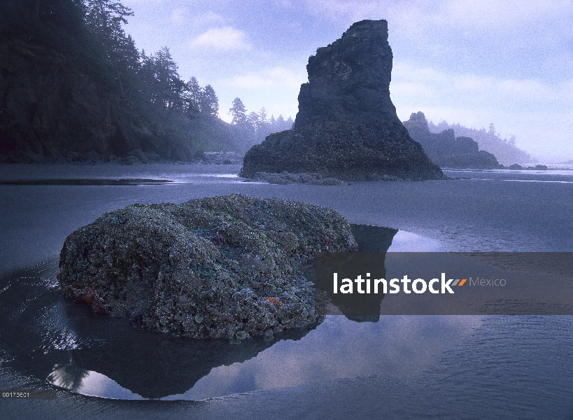 Playa de Ruby con seastack y boulder, Parque Nacional Olympic, Washington