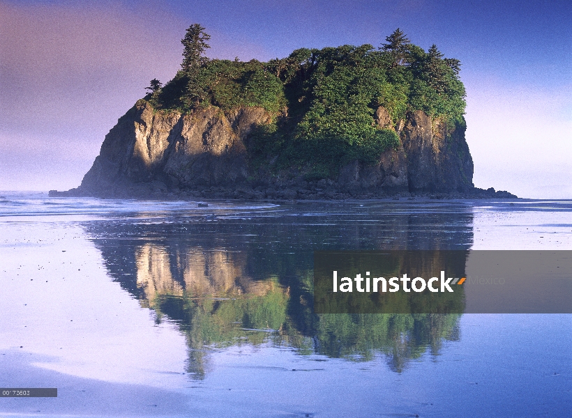 Abadía de la isla se cierne sobre Ruby Beach, Parque Nacional Olympic, Washington