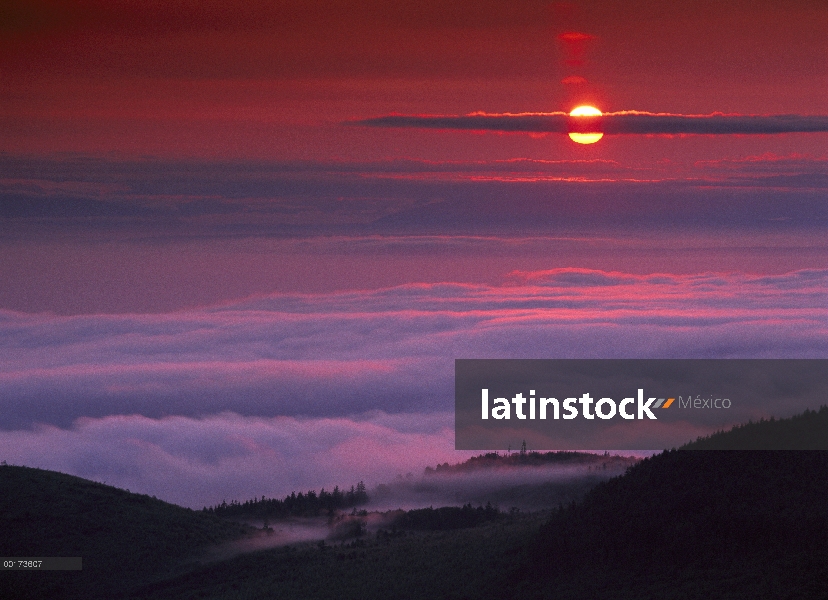 Amanecer en huracán Ridge, Parque Nacional Olympic, Washington