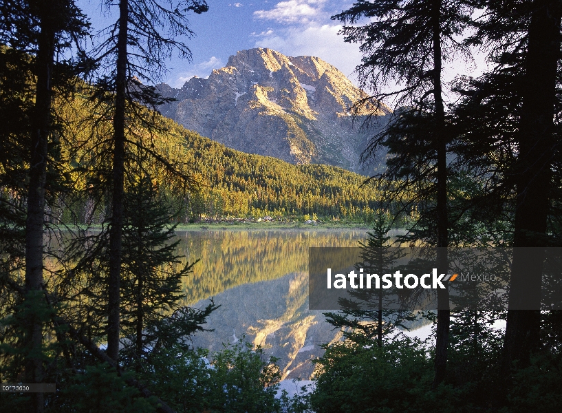 MT Moran y cadena lago, Parque Nacional Grand Teton, Wyoming