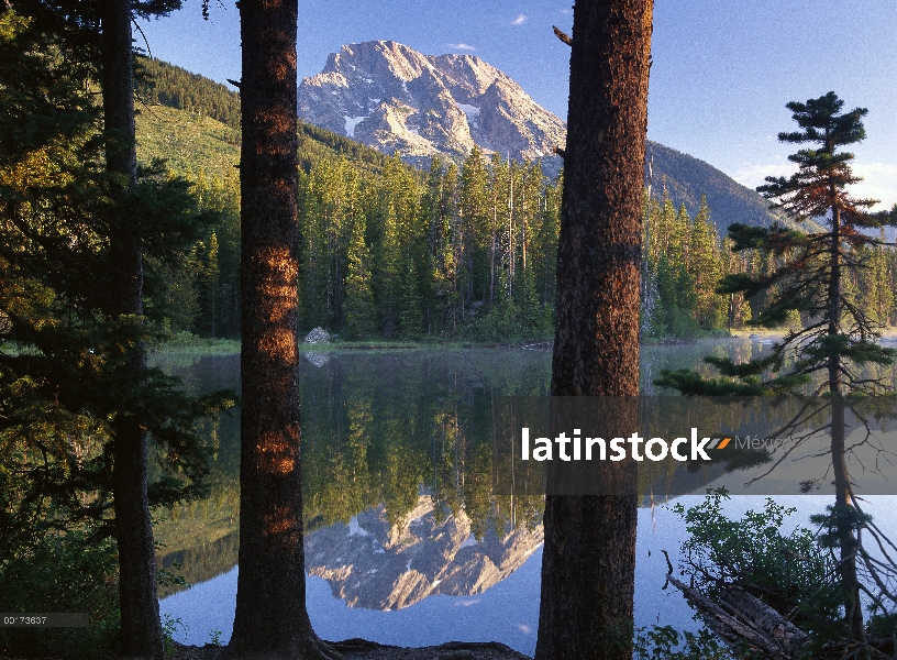 MT Moran reflejan en cadena lago, Parque Nacional Grand Teton, Wyoming