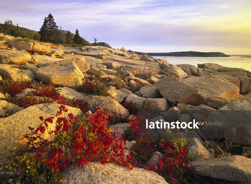 Costa Atlántica cerca de agujero de trueno, Parque Nacional Acadia, Maine