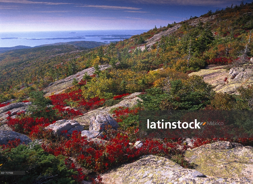 Costa Atlántica de la montaña Cadillac, Parque Nacional Acadia, Maine