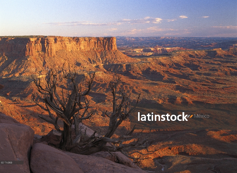 Vista desde el mirador de río verde, el Parque Nacional Canyonlands, Utah