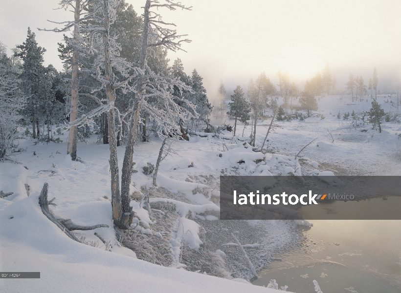 Cuenca de géiser superior en invierno, Parque Nacional de Yellowstone, Wyoming