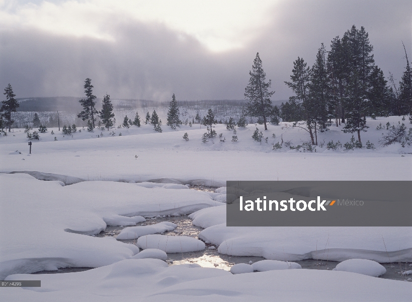 Invierno en el Parque Nacional de Yellowstone, Wyoming