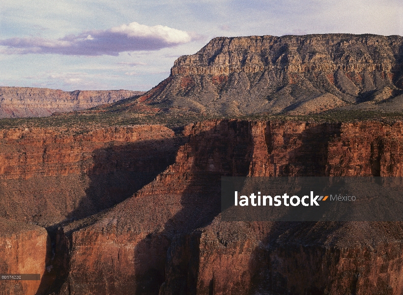 Gran Cañón visto desde el mirador de Toroweep, Parque Nacional Gran Cañón, Arizona