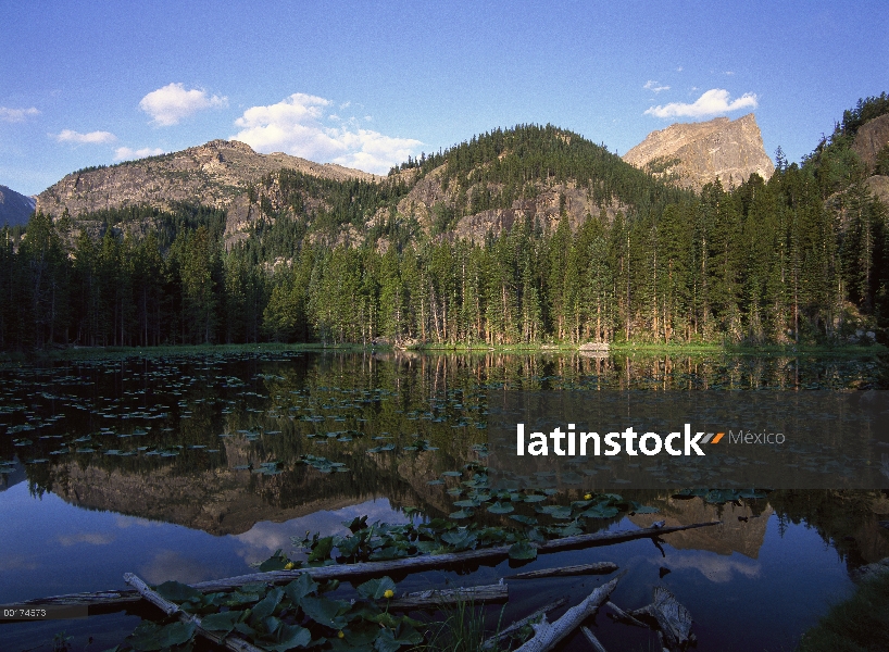 Hallet Peak reflejada en el lago con pico con tapa llana en el fondo, Parque Nacional de Rocky Mount