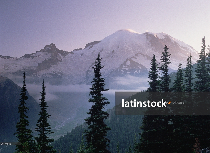 MT Rainier como se ve al amanecer, Mt Rainier National Park, Washington