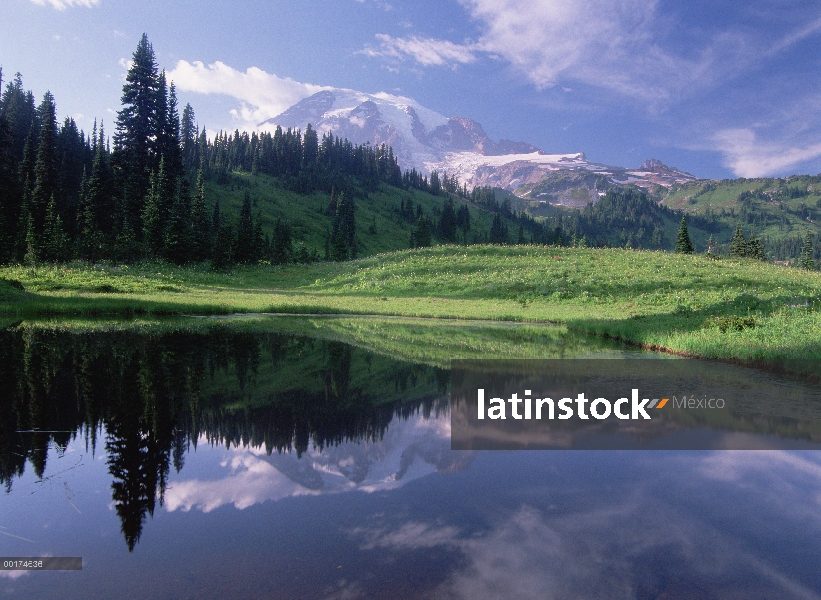 MT Rainier reflejado en el lago, el Parque nacional más lluvioso, Washington Mt