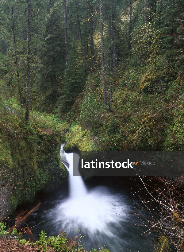 Caídas de Punchbowl en Eagle Creek, Columbia River Gorge, Oregon