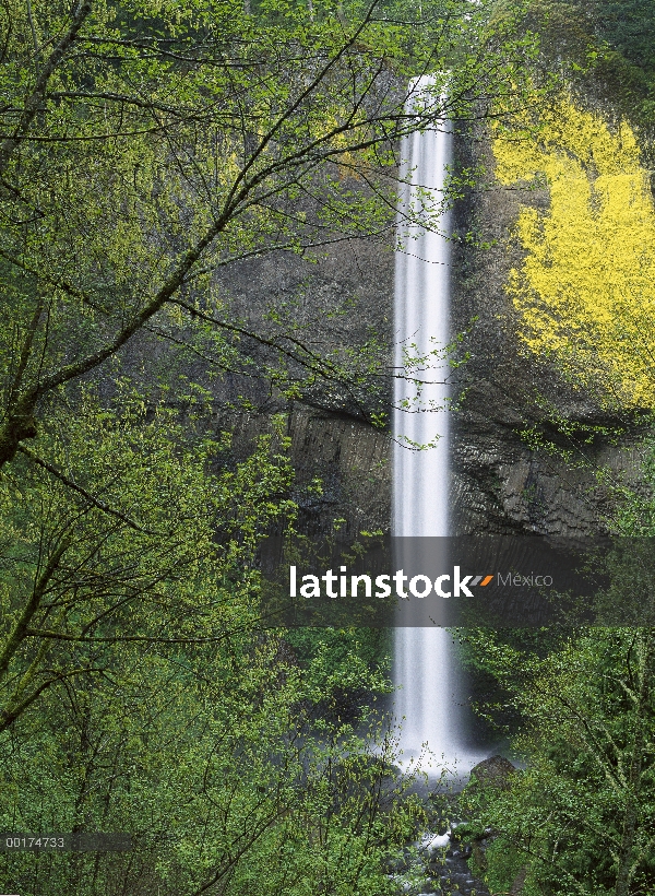 Latourell Falls, garganta del Río Columbia, cerca de Portland, Oregon