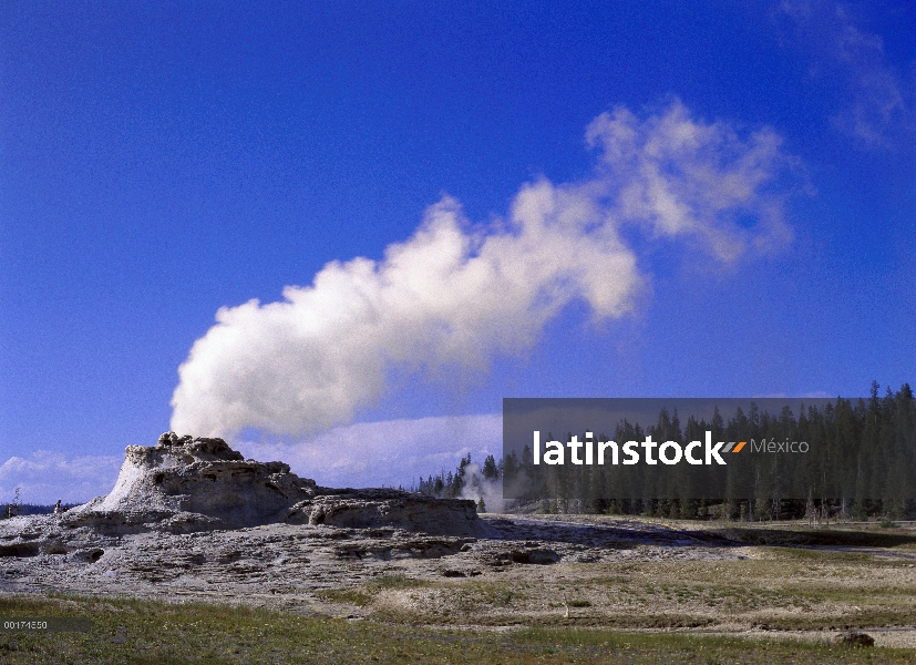 Géiser de castillo, Parque Nacional de Yellowstone, Wyoming